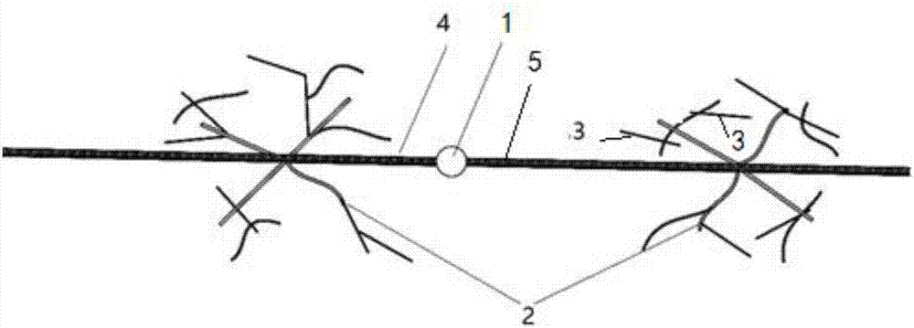 Synergetic fracturing method for main crack and complex crack network of large channel