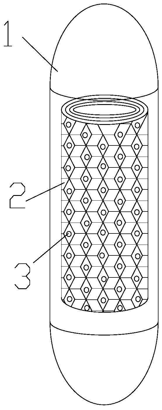 Fecal microbiota capsule and preparation method thereof