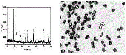 A preparation method of micron-scale spherical copper-zinc-tin-sulfur single crystal particles and its single crystal particles and application