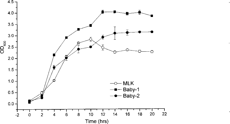 Enterococcus faecium microcapsule formulation and method for preparing same