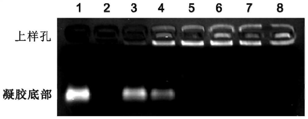 A kind of nanoparticle and its preparation method and application