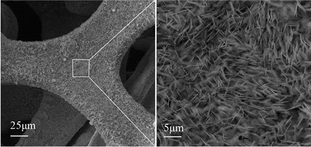 Sodium ion battery nanosheet array nickel phosphide/three-dimensional (3D) graphene composite material and preparation method thereof