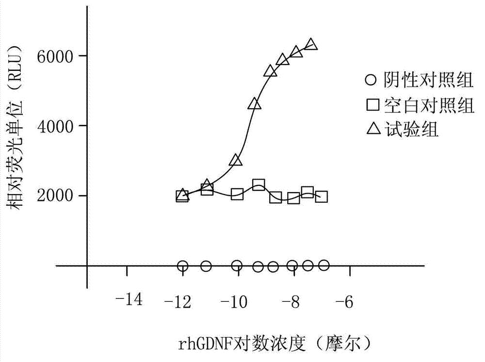 Cytological method for assaying activity of rhGDNF (recombinant human Glial cell line-Derived Neurotrophic Factor)