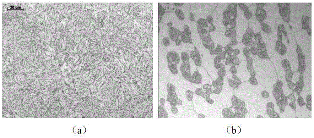 Liquid metal corrosion-resistant high-chromium martensite heatproof steel