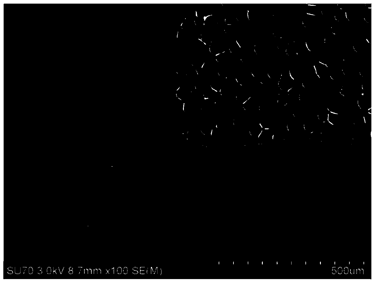 Medical degradable multilayer polymer/graphene film material and preparation method thereof