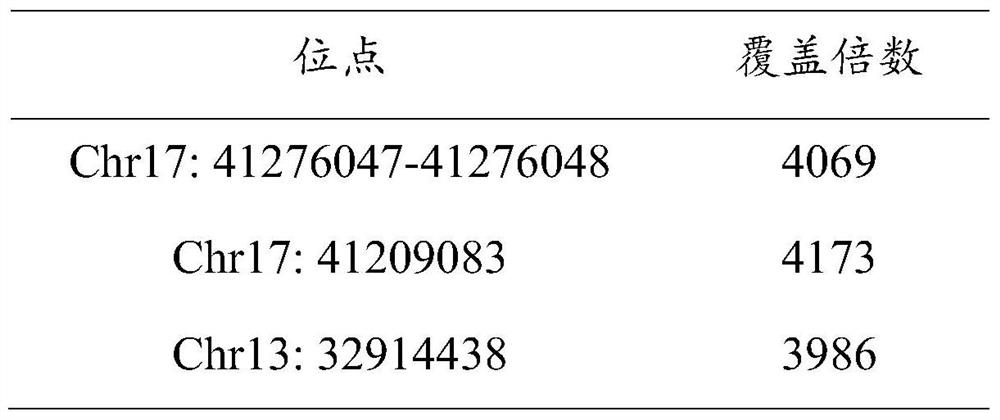 Breast cancer susceptibility gene detection kit