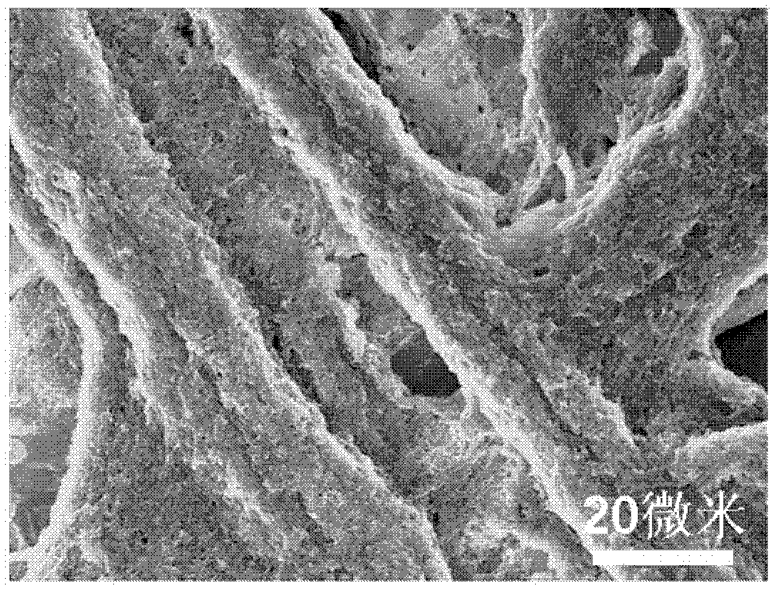 Preparation method of flexible super capacitor based on paper and application thereof