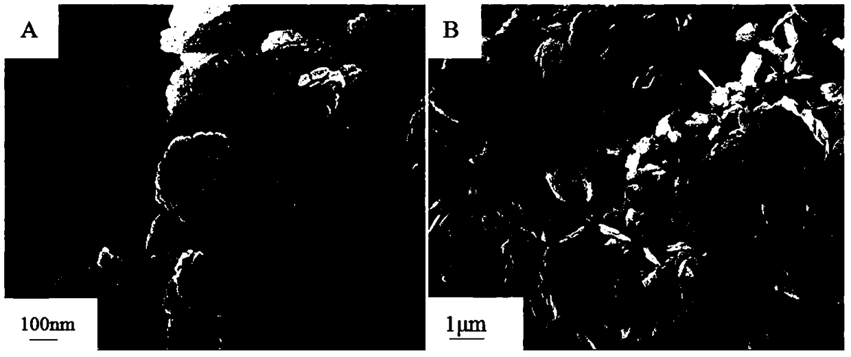 Preparation method of nitrogen-doped carbon-cerium composite nanosheets