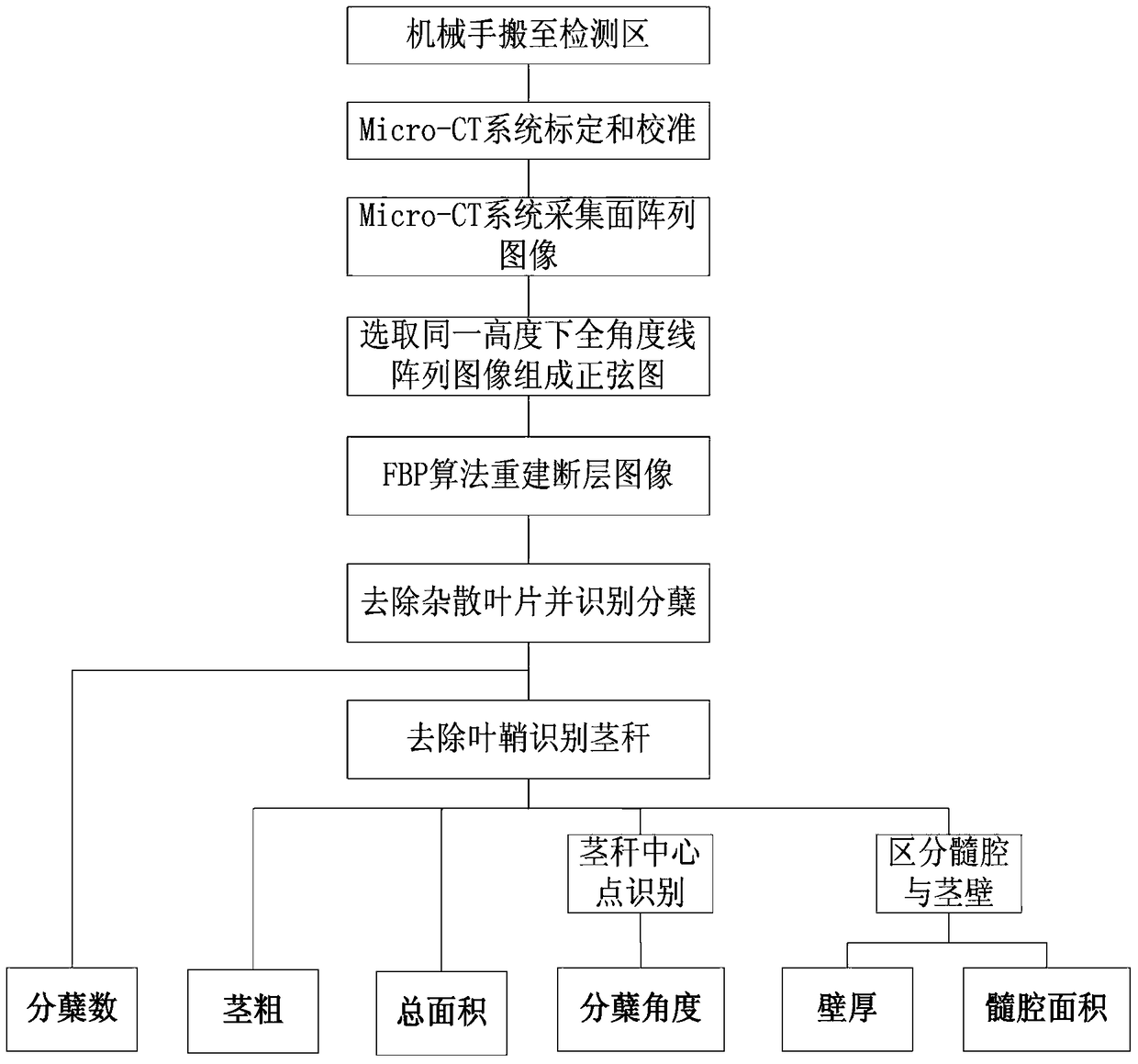 Non-destructive measurement device and measurement method for rice tillering traits based on micro-CT