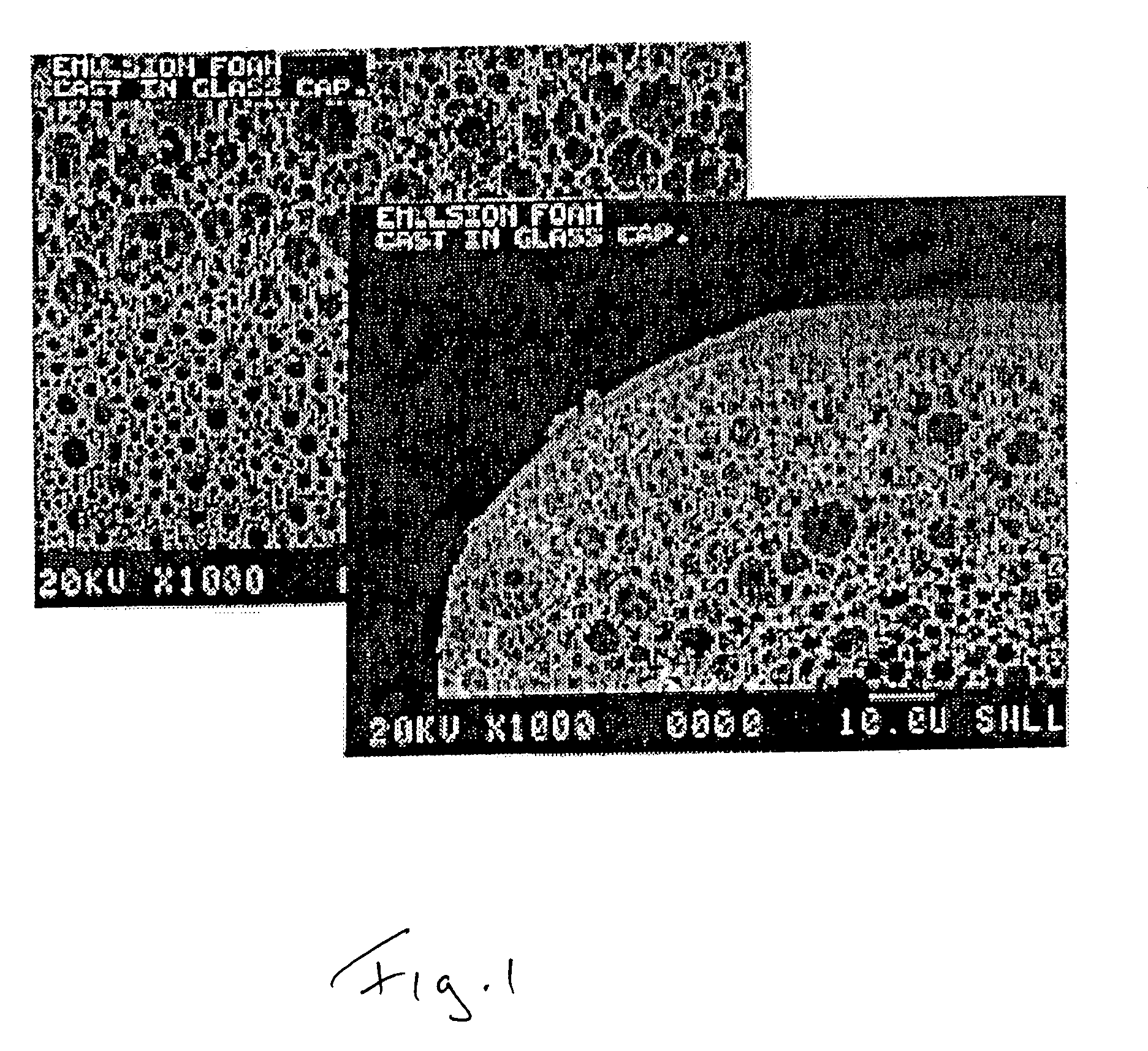 Castable three-dimensional stationary phase for electric field-driven applications