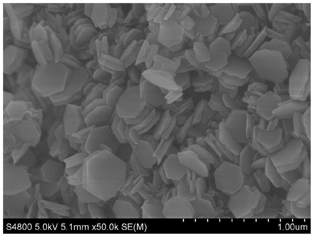 A kind of magnesia binder and the method using magnesia binder to prepare refractory material