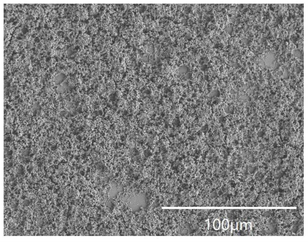 Steel surface coating and preparation method thereof