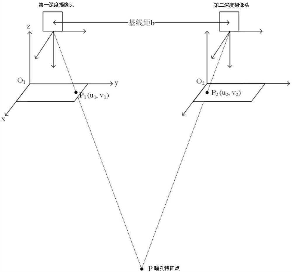 Pupil detection method and device based on double cameras