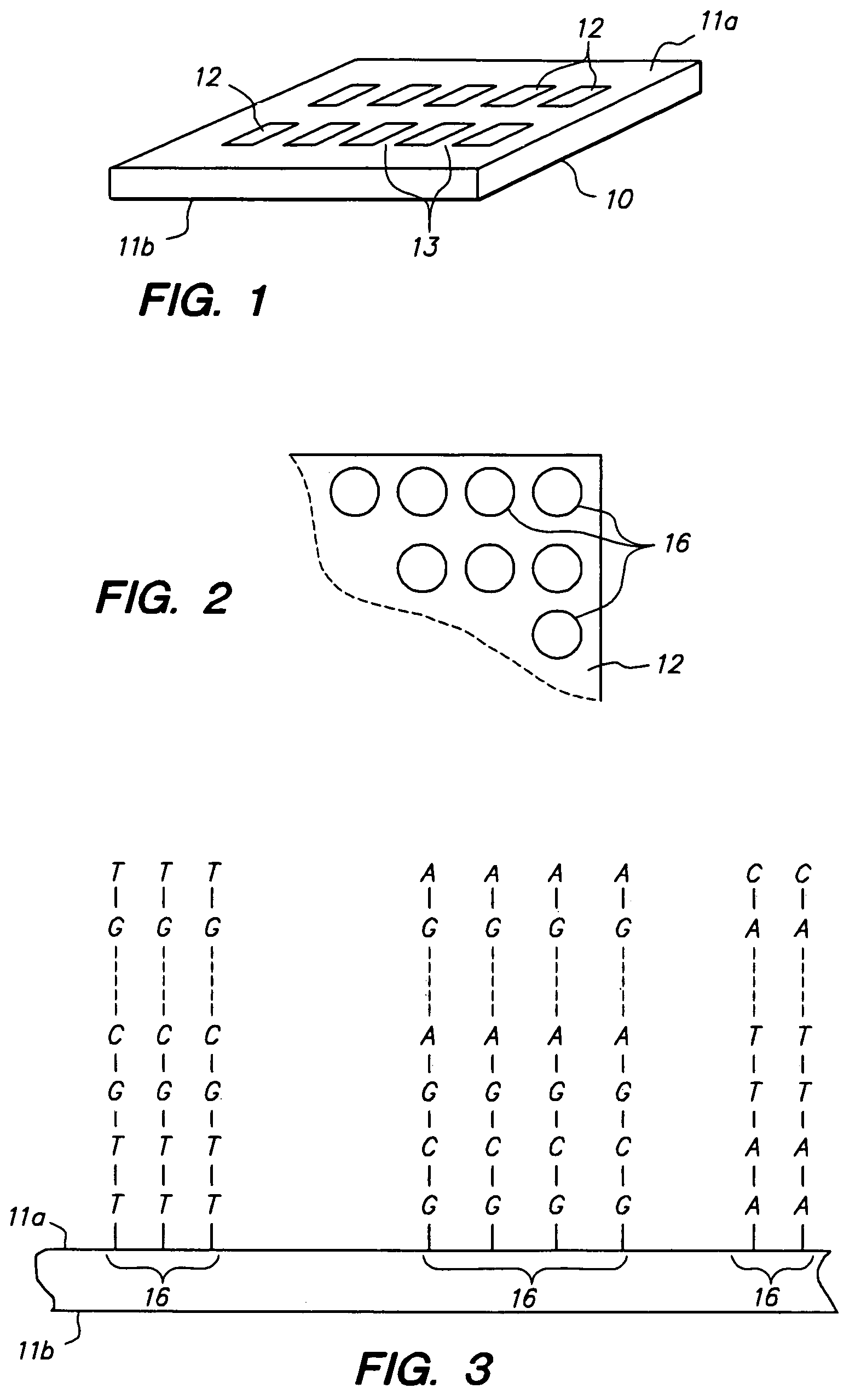 Method of testing multiple fluid samples with multiple biopolymer arrays