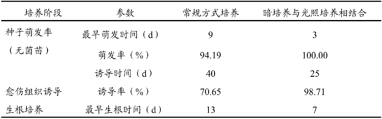 Rooting induction culture medium for limonium aureum and breeding method of limonium aureum