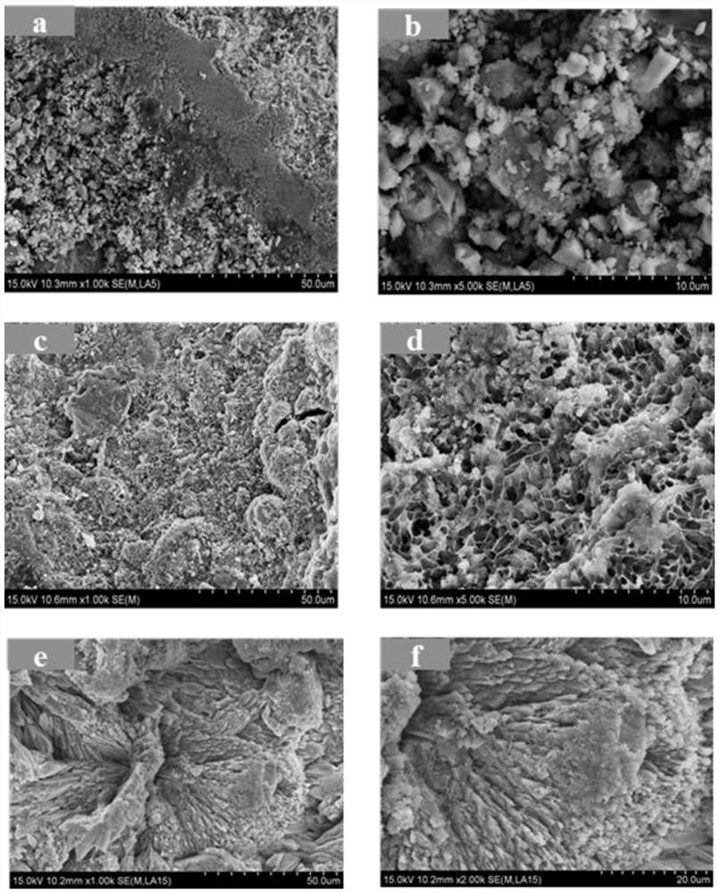 Method for enhancing anaerobic ammonia oxidizing bacteria culture and improving bacteria activity by using ferrous sulfide