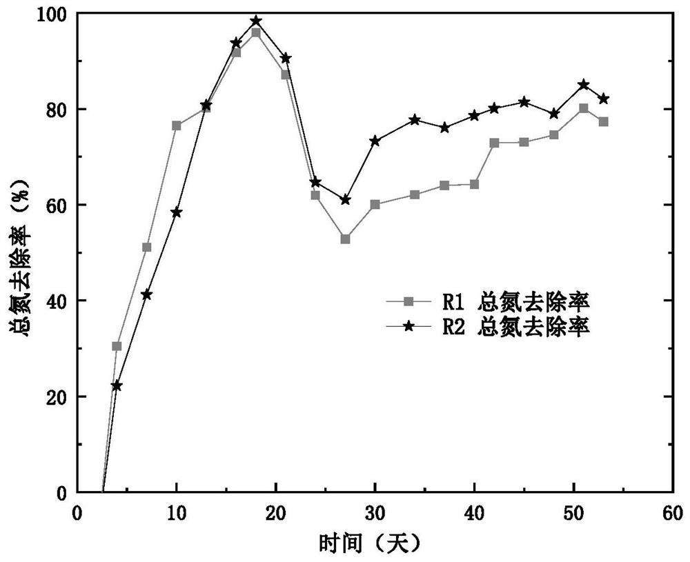 Method for enhancing anaerobic ammonia oxidizing bacteria culture and improving bacteria activity by using ferrous sulfide