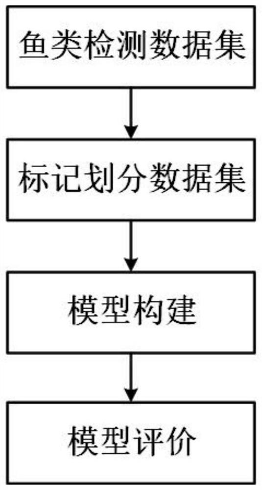 YOLOv5 marine fish target detection method based on attention mechanism and DropBlock