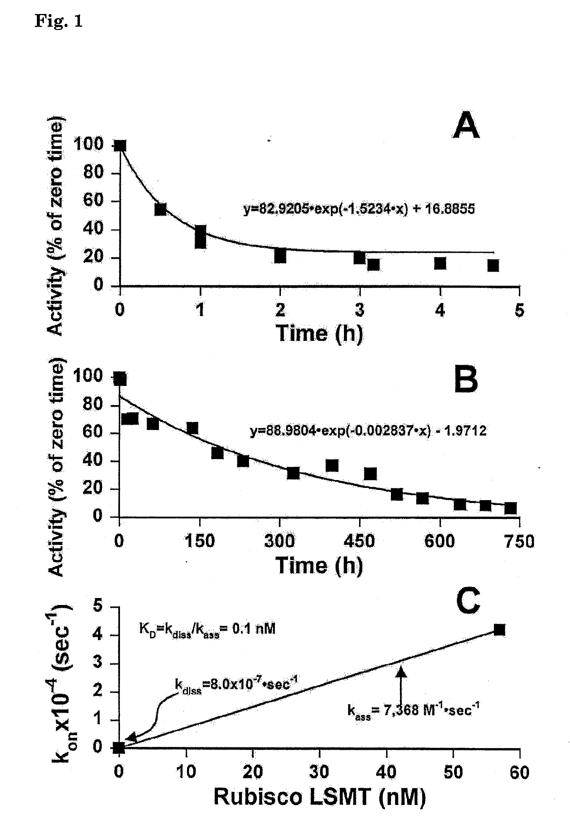 Modified rubisco large subunit n-methyltransferase useful for targeting molecules to the active-site vicinity of ribulose-1, 5-bisphosphate