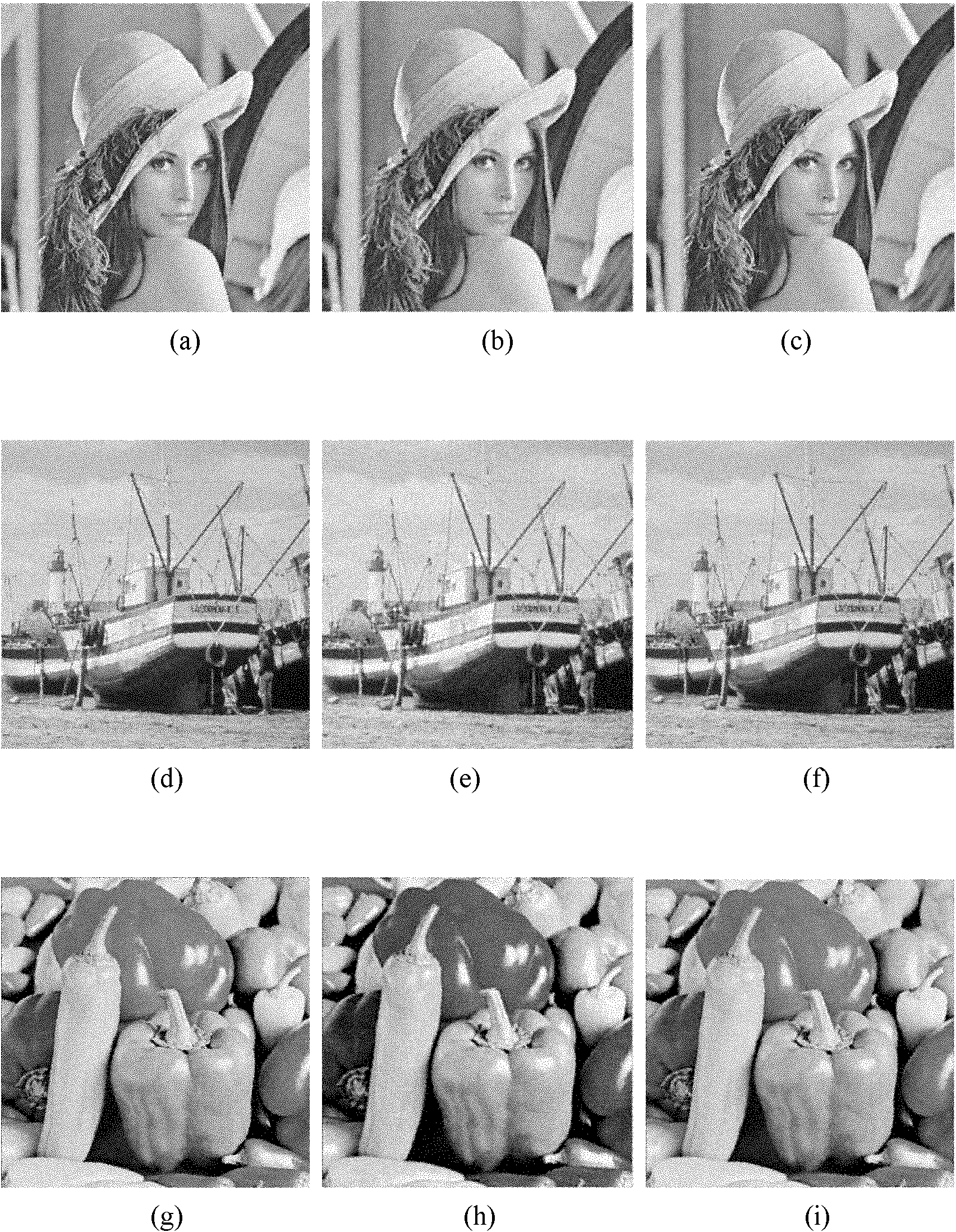 Image structure model-based compressed sensing image reconstruction method