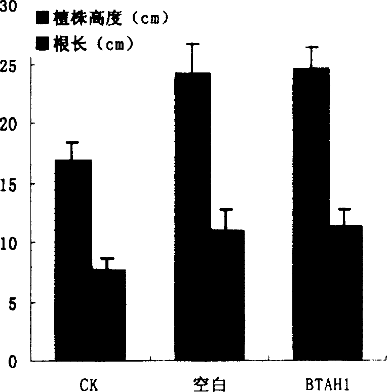 Triazine herbicide residual degrading strain and strain therefrom