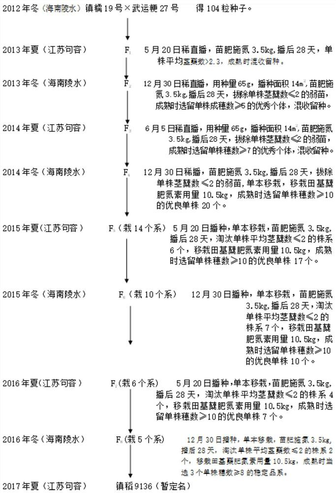 Breeding method for cultivating japonica rice variety capable of efficiently utilizing nitrogen