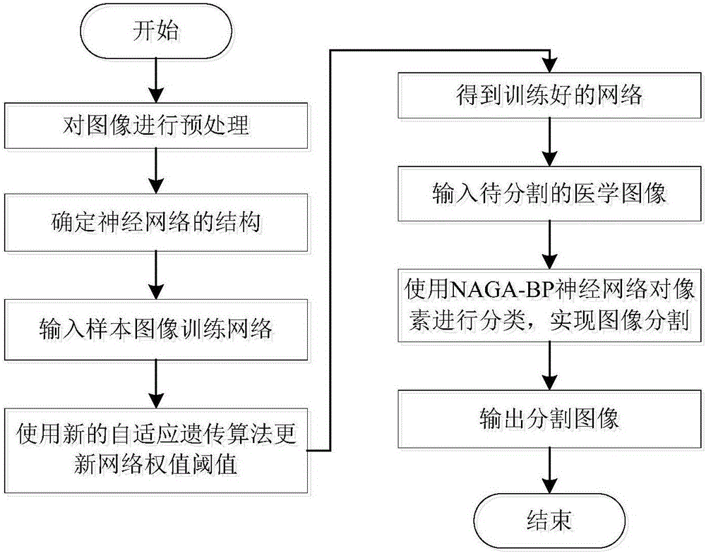 BP neural network image segmentation method and device based on adaptive genetic algorithm