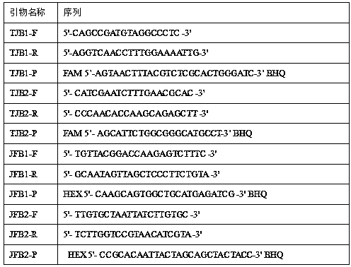 Double detection kit for citrus anthracnose and citrus foot rot and its application