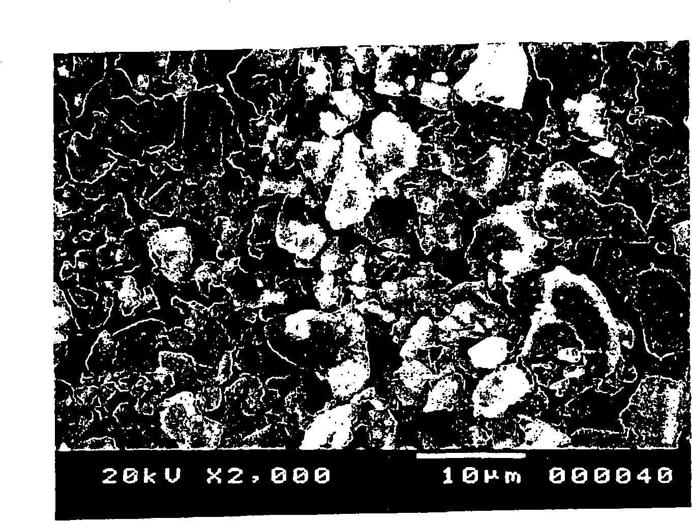 Antifungal/antibacterial agent comprising two-step baked shell powder