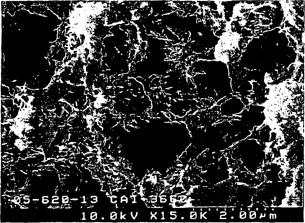 Antifungal/antibacterial agent comprising two-step baked shell powder