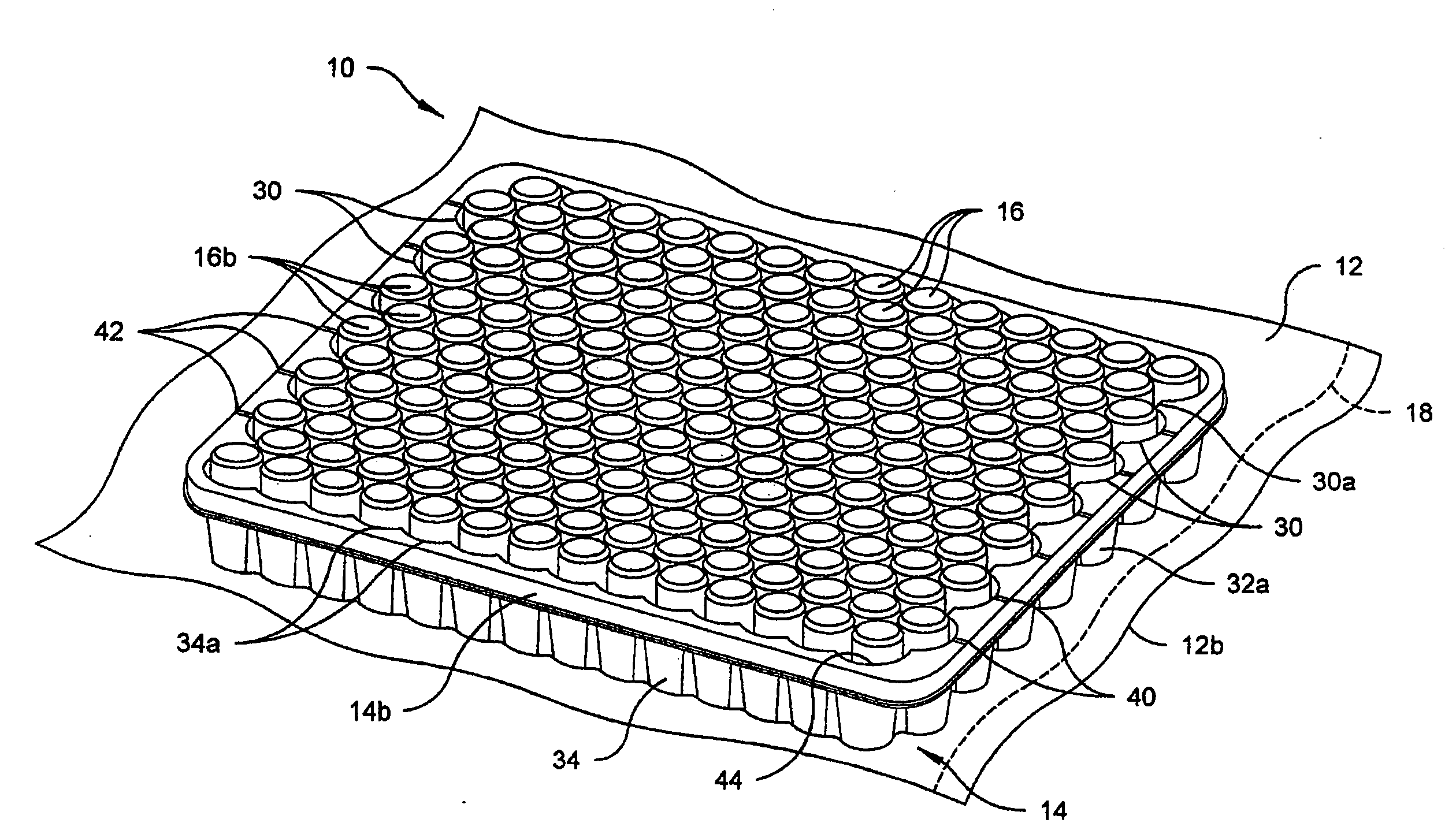 Vacuum package system