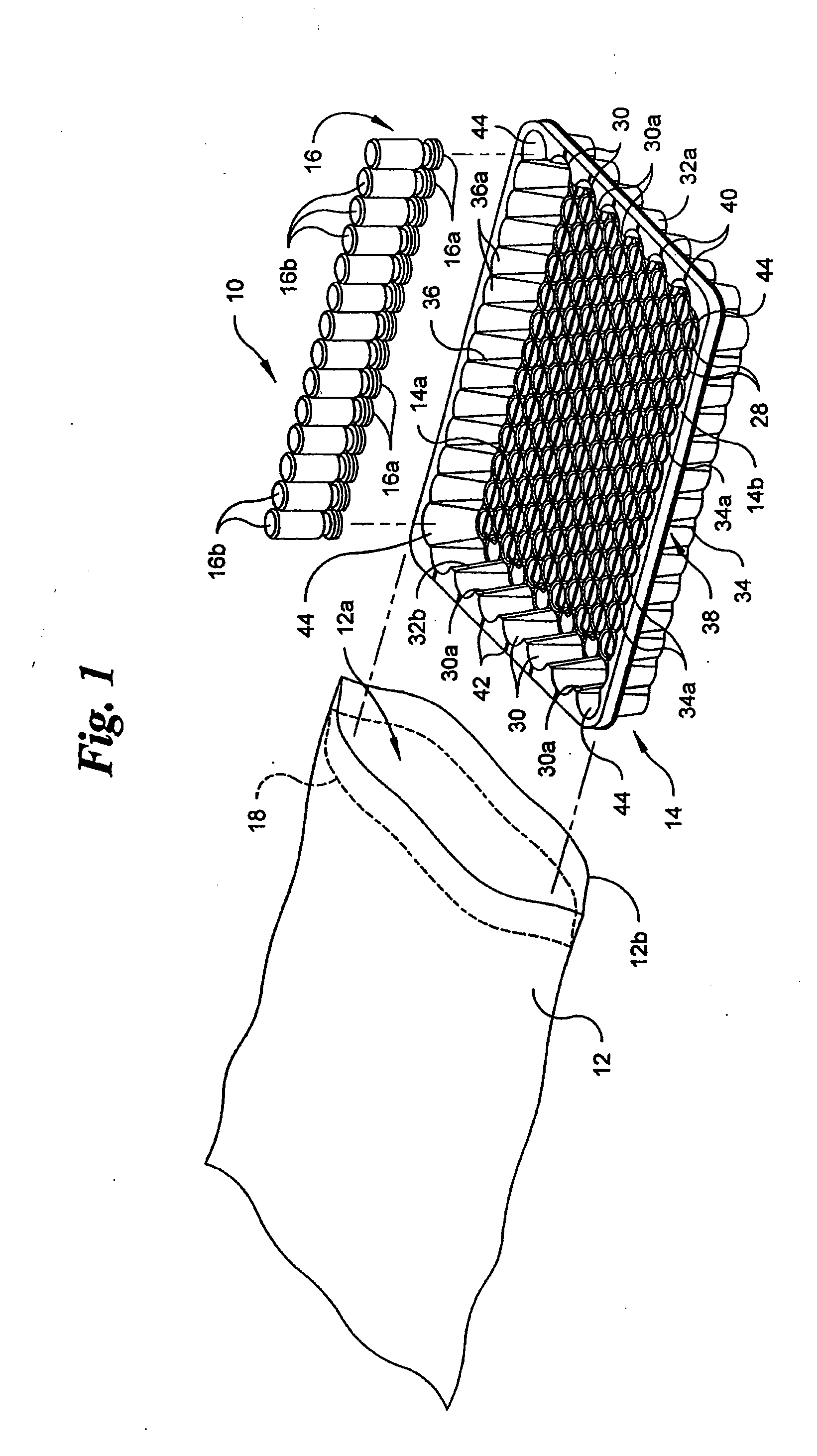 Vacuum package system