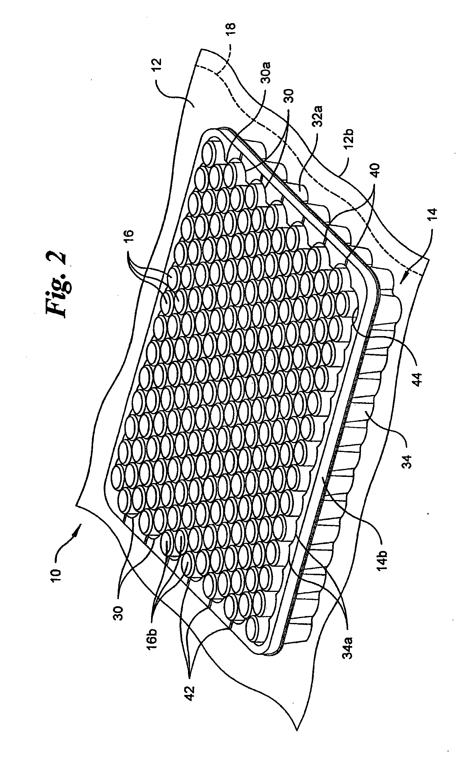 Vacuum package system