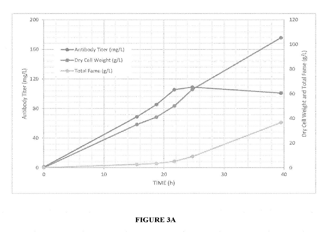 Expression of modified glycoproteins and glycopeptides