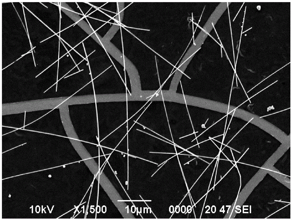 Method for preparing composite transparent conductive electrode based on metal grid and metal nano-wire