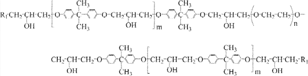 Paint composition and preparation and using methods thereof