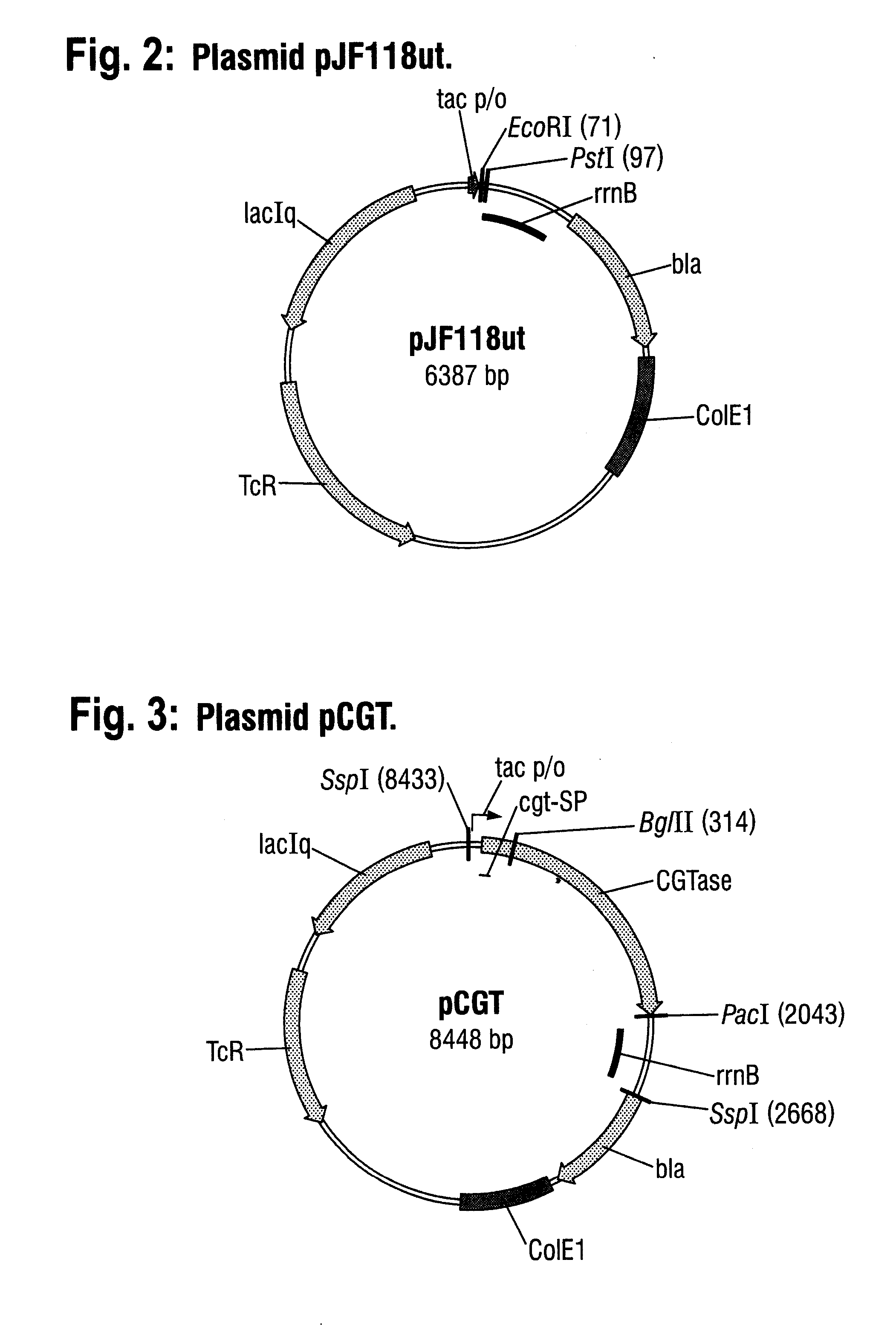 Signal peptide for the production of recombinant proteins