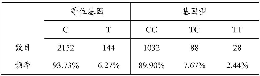 A kind of SNP marker related to pig backfat thickness and its utilization method