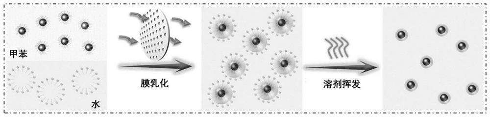 Nanoparticle colloid cluster and structure-controllable preparation method based on emulsion method