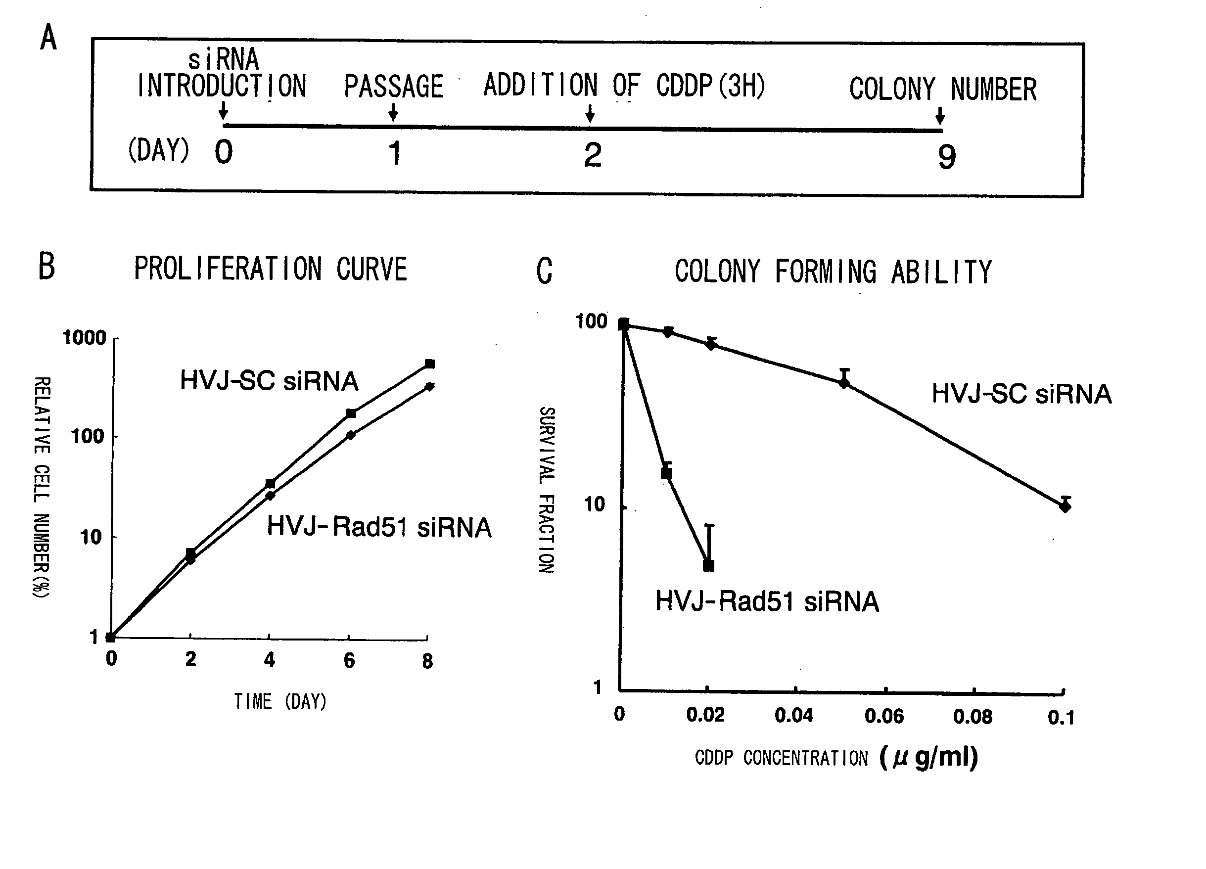 Rad51 Expression Inhibitors, Pharmaceutical Agents Containing The Inhibitors As Active Ingredients, And Uses Thereof