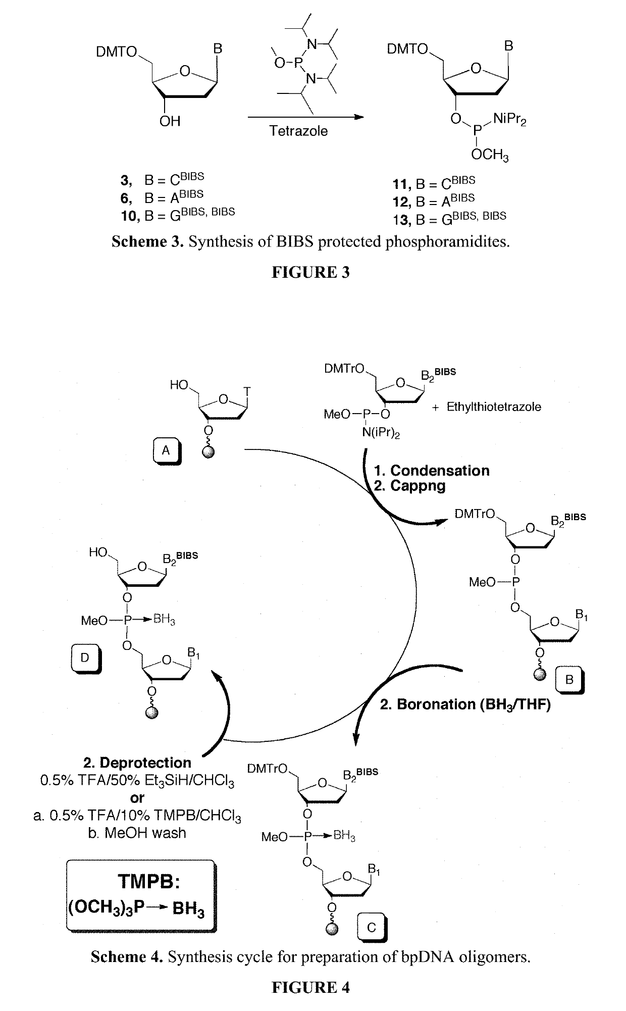 Exocyclic nitrogen atom protected nucleoside and method for producing and using the same