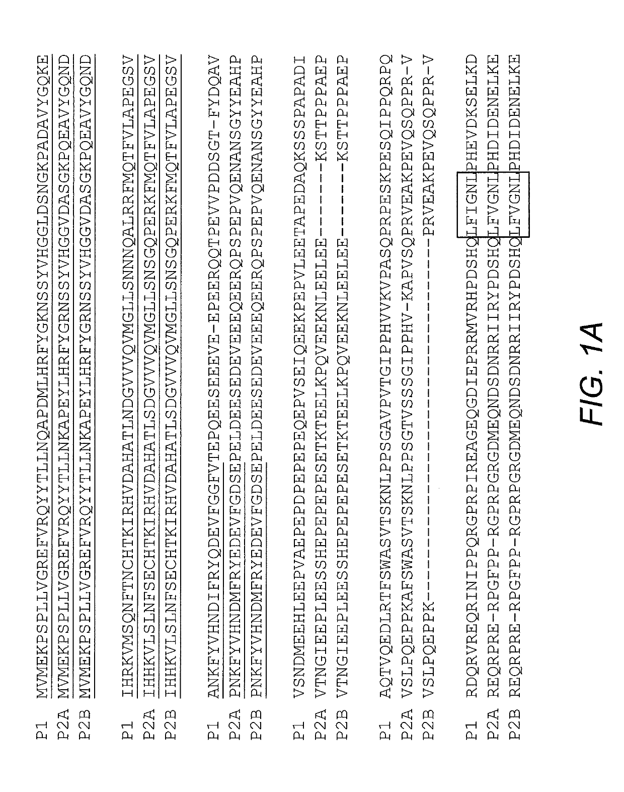 Fusion Protein and Nucleic Acid Molecule for Light-Dependent Stress Granule Assembly