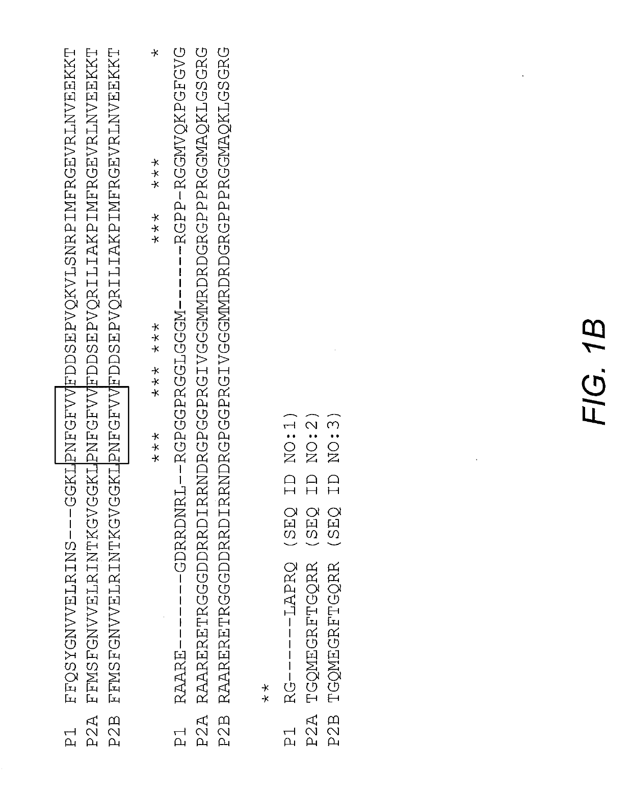 Fusion Protein and Nucleic Acid Molecule for Light-Dependent Stress Granule Assembly