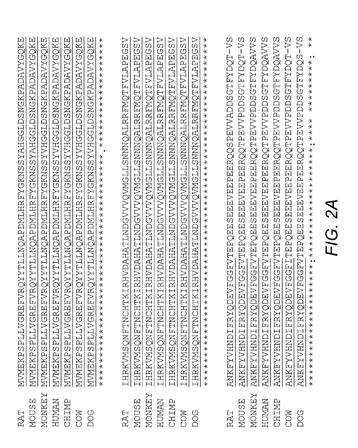 Fusion Protein and Nucleic Acid Molecule for Light-Dependent Stress Granule Assembly