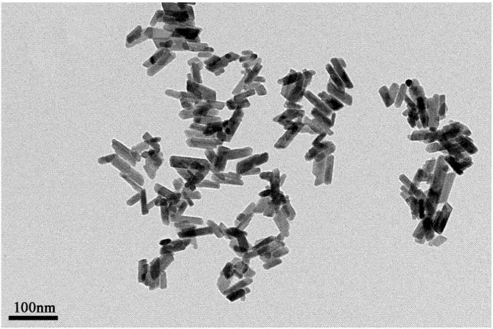 Platinized zinc tungstate nano material and application thereof in gas-sensing field