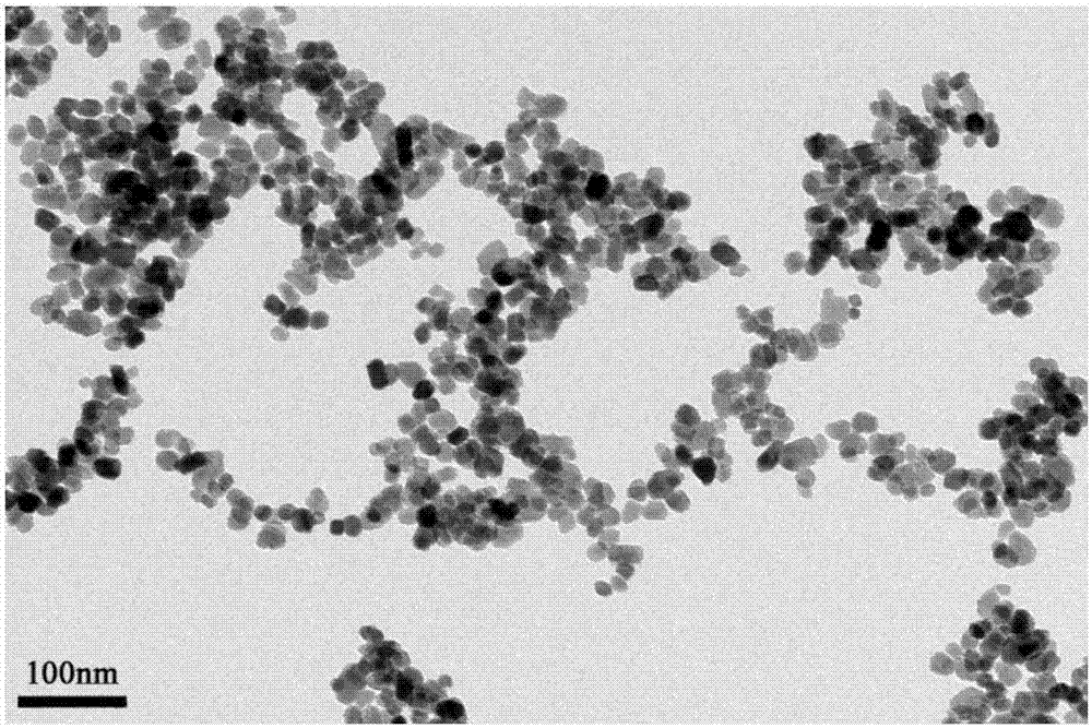 Platinized zinc tungstate nano material and application thereof in gas-sensing field