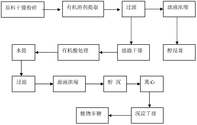 Extracting method for active polysaccharide in higher plant or edible and medicinal fungi