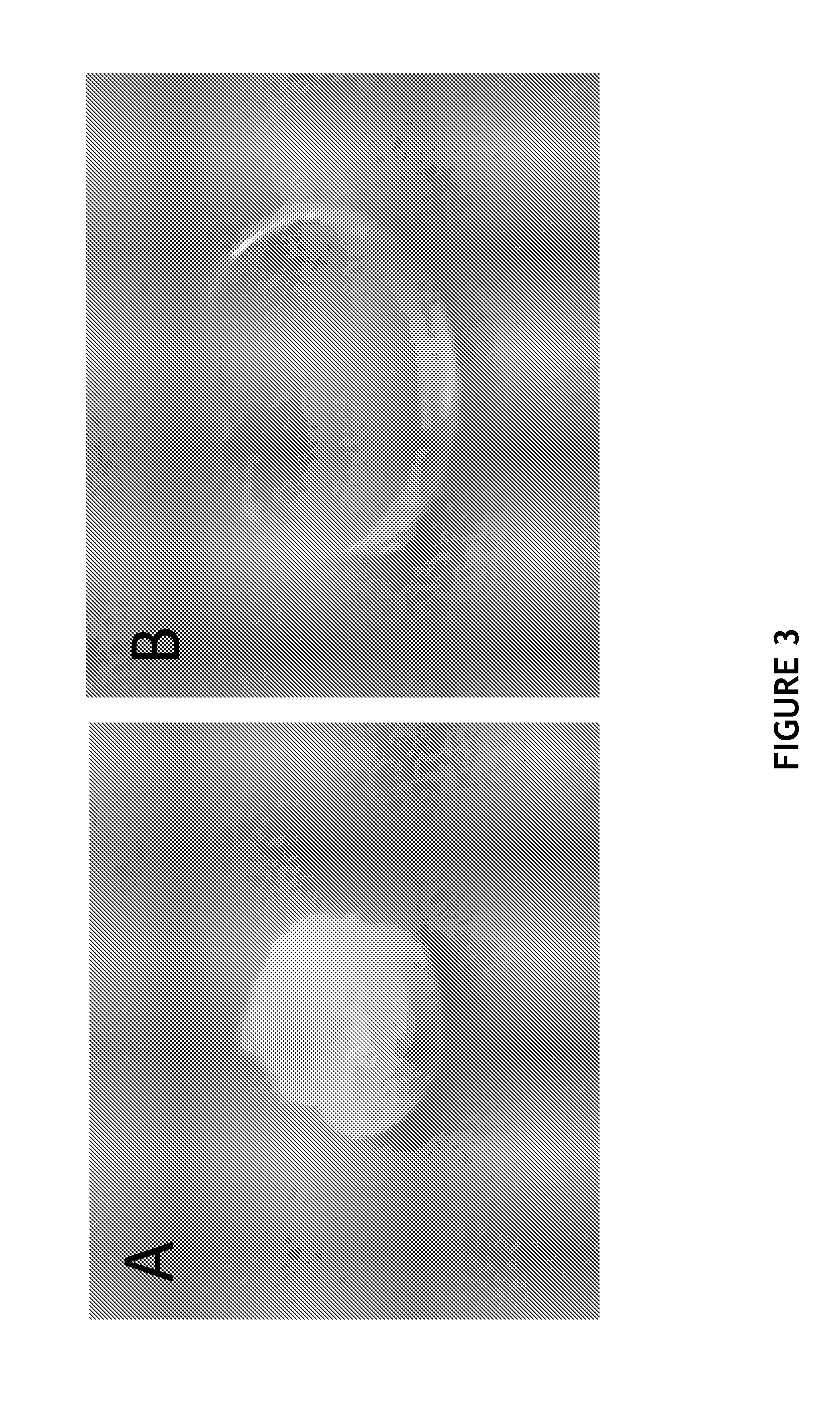 Water Compatible Nanogel Compositions