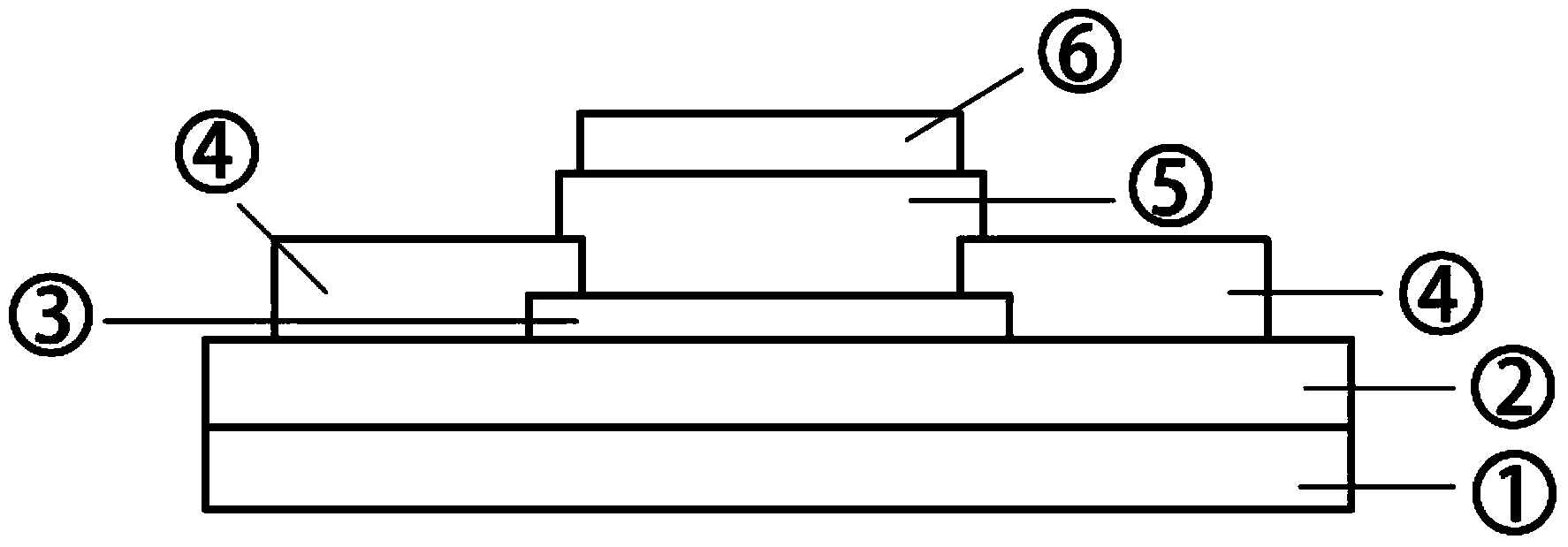 Production method of PVDF (polyvinylidene fluoride) ferroelectric field effect transistor based on molybdenum disulfide film