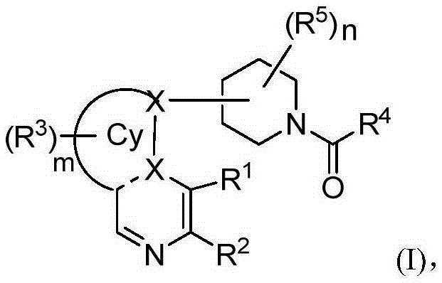 Heterarylation compound and application thereof to drugs